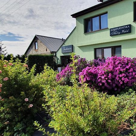 Skalny Widok Villa Hucisko  Buitenkant foto