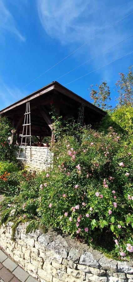 Skalny Widok Villa Hucisko  Buitenkant foto