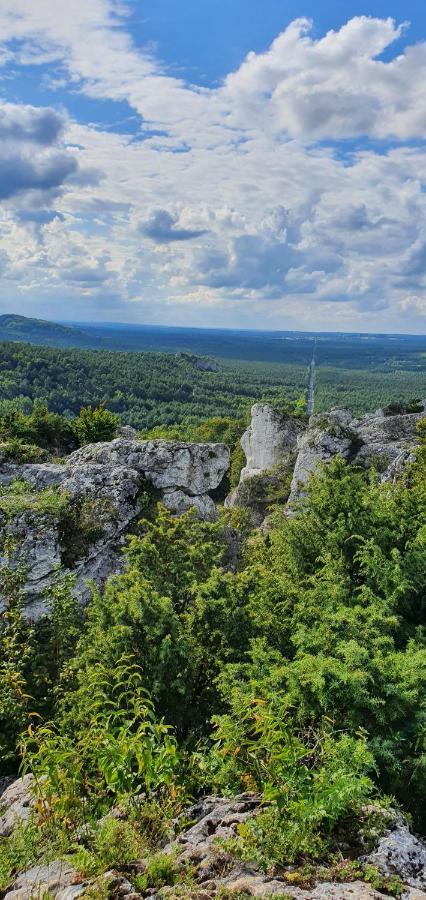Skalny Widok Villa Hucisko  Buitenkant foto