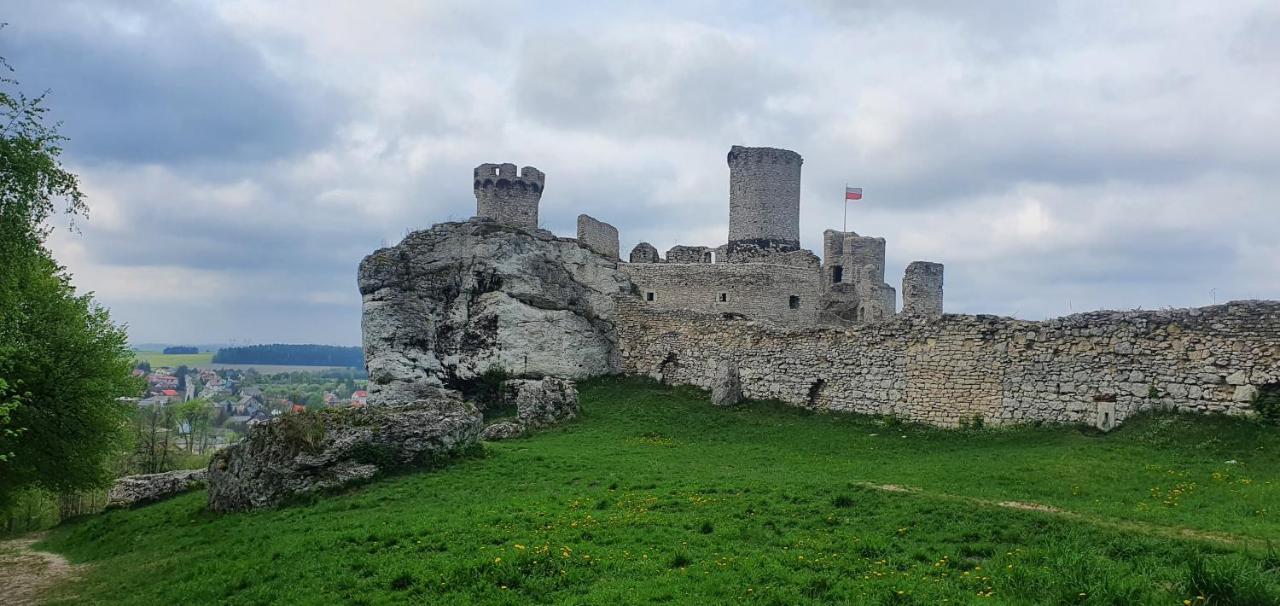 Skalny Widok Villa Hucisko  Buitenkant foto