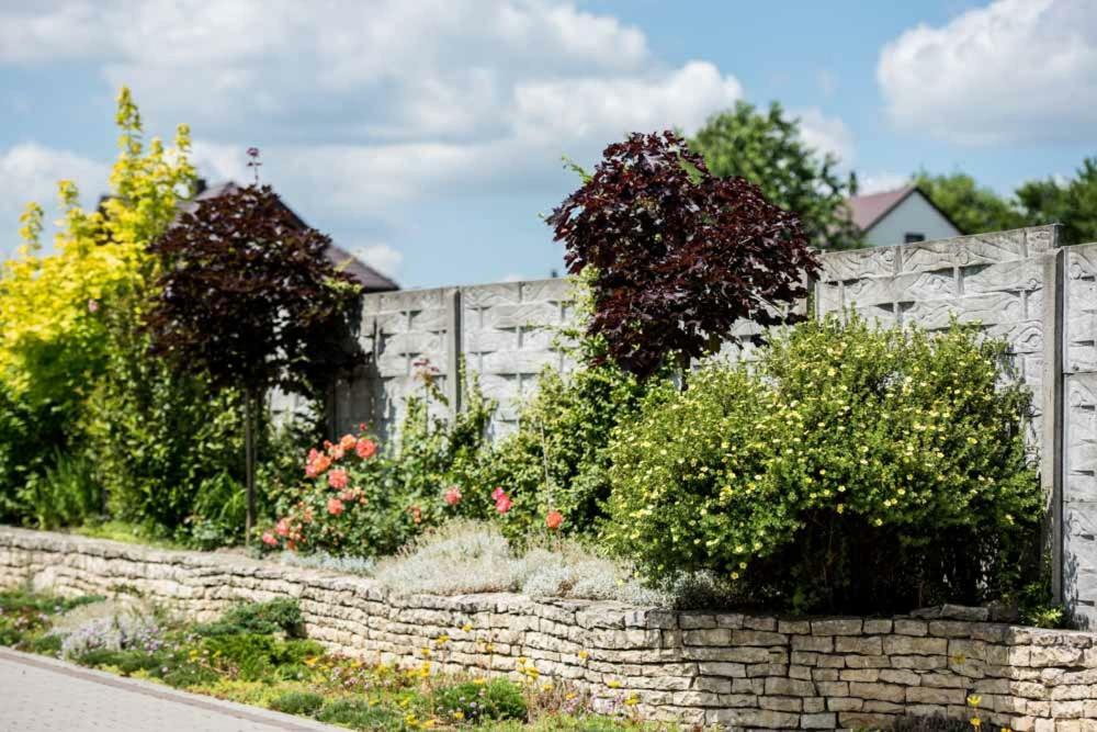 Skalny Widok Villa Hucisko  Buitenkant foto